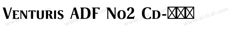 Venturis ADF No2 Cd字体转换 Venturis ADF No2 Cd字体转换